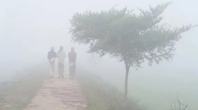 কুয়াশার দাপট বেড়েছে শীত