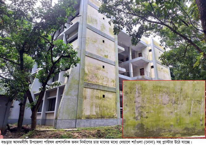 আদমদীঘিতে প্রশাসনিক ভবন নির্মাণের চার মাসে দেয়ালে জমেছে শ্যাঁওলা, উঠে যাচ্ছে প্লাস্টার