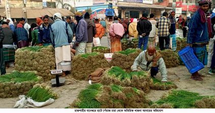 রাজশাহীর বানেশ্বরে হাটে পেঁয়াজ চারা থেকে অতিরিক্ত খাজনা আদায়ের অভিযোগ