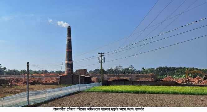 রাজশাহীর পুঠিয়ায় পরিবেশ অধিদপ্তরের ছাড়পত্র ছাড়াই চলছে অবৈধ ইটভাটা