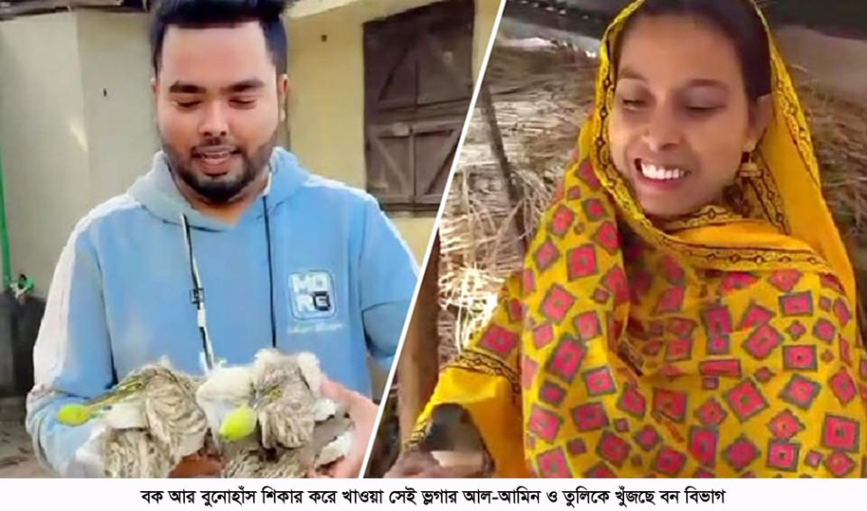 বক আর বুনোহাঁস শিকার করে খাওয়া সেই ভøগার আল-আমিন ও তুলিকে খুঁজছে বন বিভাগ