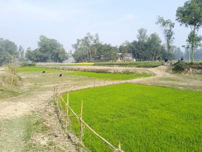 রায়গঞ্জের রৌহা মাদার তলা খালের উপড় ব্রীজের দাবী এলাকা বাসীর