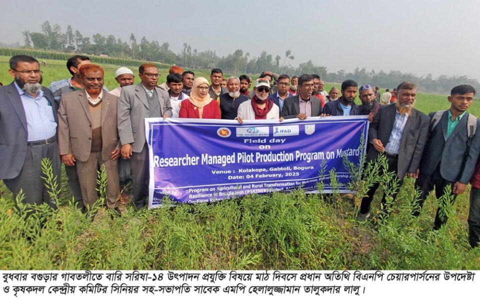 বগুড়ায় গাবতলীতে বারি সরিষা-১৪ জাতের মাঠ দিবস অনুষ্ঠিত