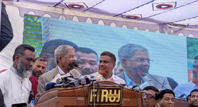 সরকারে থেকে দল গঠন করলে মানুষ মেনে নেবে না : মির্জা ফখরুল