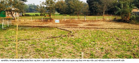 আদমদীঘিতে বিধান চন্দ্রের জমি দখল করল এক প্রভাবশালী