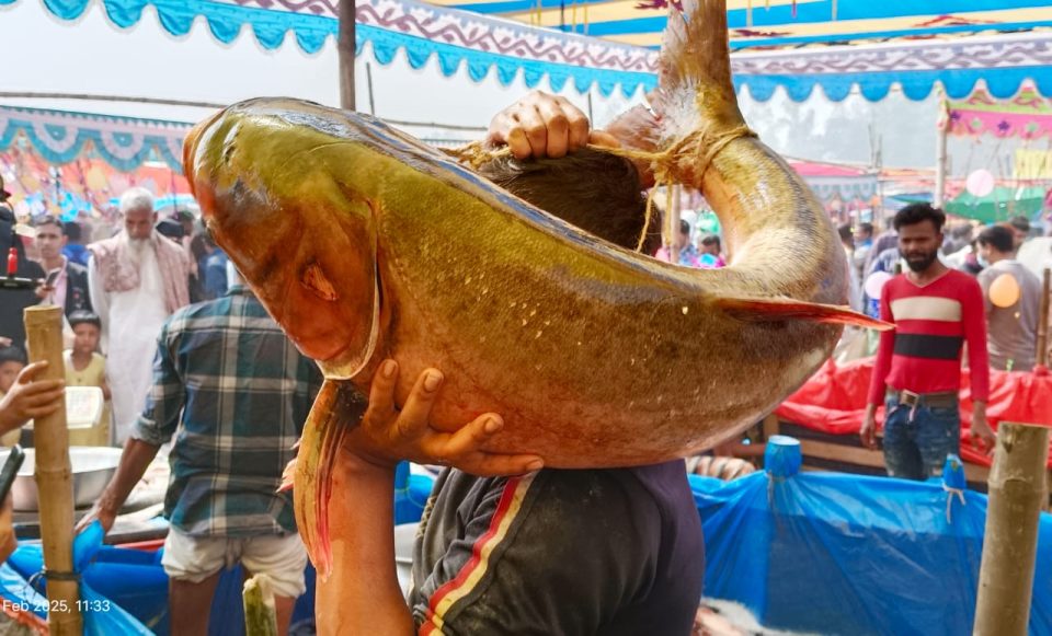 উৎসাহ উদ্দীপনা ও উৎসবমুখর পরিবেশে গাবতলীতে ঐতিহ্যবাহীপোড়াদহ মেলা সুষ্ঠু ভাবে সম্পন্ন