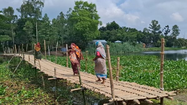 কুড়িগ্রামের রৌমারীতে সাঁকো নির্মাণ করলো বিজিবি ছাত্র-জনতা