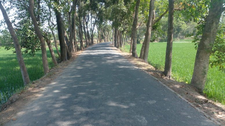 সন্ধ্যা নামলেই হয়ে উঠে ভয়ংকর রায়গঞ্জের নিমগাছী হতে শালিয়াগাড়ী আঞ্চলিক সড়ক
