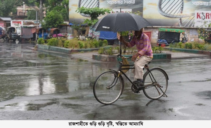 রাজশাহীতে গুড়ি গুড়ি বৃষ্টি, স্বস্তিতে আমচাষি
