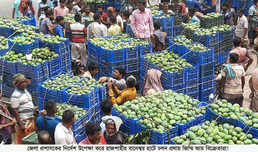 জেলা প্রশাসকের নির্দেশ উপেক্ষা করে রাজশাহীর বানেশ্বর হাটে ঢলন প্রথায় জিম্মি আম বিক্রেতারা!