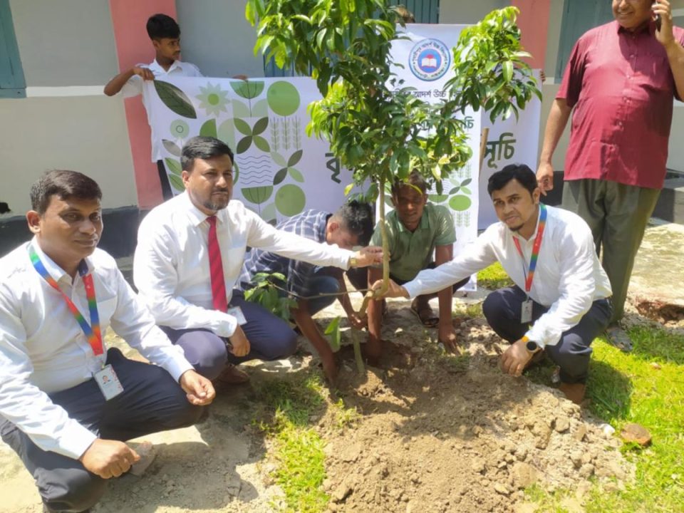 পলাশবাড়ীতে গৃধারীপুর আদর্শ উচ্চ বিদ্যালয়ে সিটি ব্যাংকের বৃক্ষরোপণ কর্মসূচি