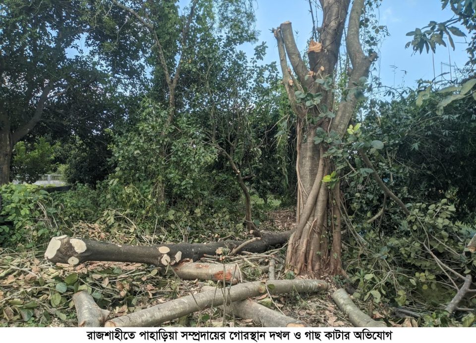 রাজশাহীতে পাহাড়িয়া সম্প্রদায়ের গোরস্থান দখল ও গাছ কাটার অভিযোগ