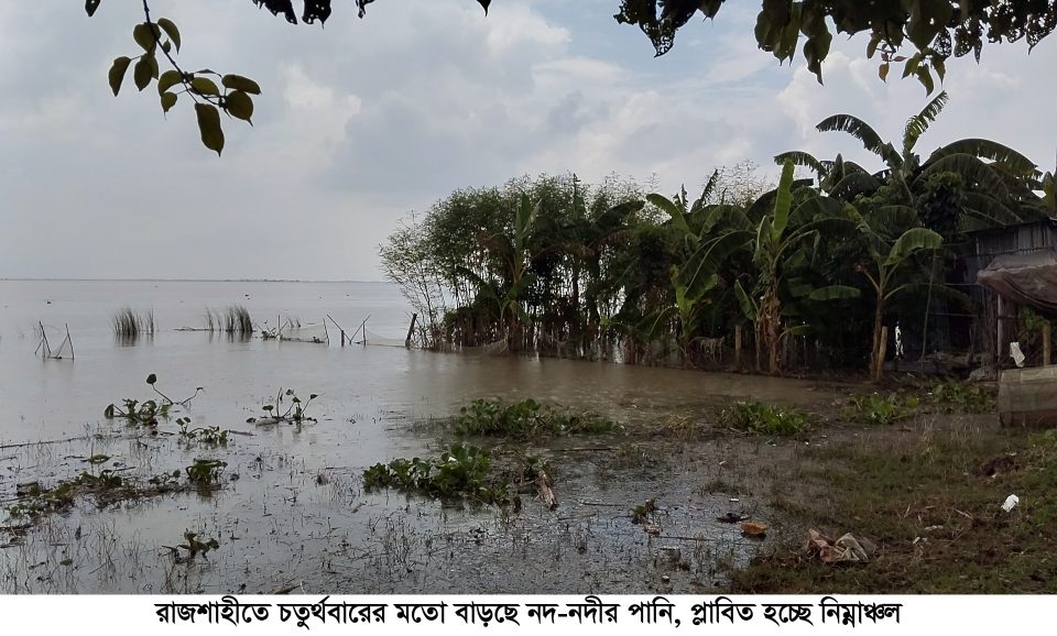 রাজশাহীতে চতুর্থবারের মতো বাড়ছে নদ-নদীর পানি, প্লাবিত হচ্ছে নিম্নাঞ্চল