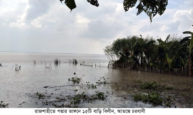 রাজশাহীতে পদ্মার ভাঙ্গনে ১৫টি বাড়ি বিলীন, আতঙ্কে চরবাসী