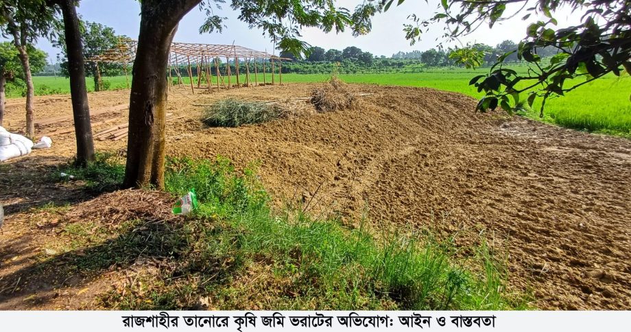 রাজশাহীর তানোরে কৃষি জমি ভরাটের অভিযোগ: আইন ও বাস্তবতা