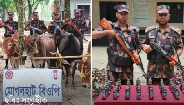 কুড়িগ্রাম-লালমনিরহাট সীমান্তে ১৫ বিজিবি’র অভিযানে ভারতীয় গরু ও মাদক জব্দ