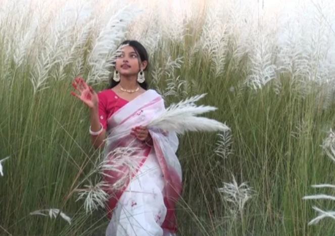 কুড়িগ্রামের চরাঞ্চলগুলোতে কাশফুলের নরম ছোঁয়ায় দর্শনার্থীরা. .