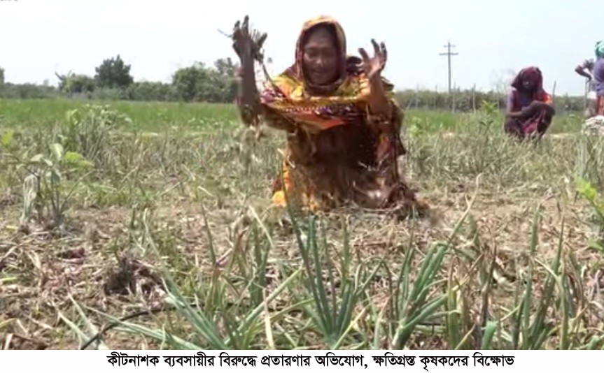 কীটনাশক ব্যবসায়ীর বিরুদ্ধে প্রতারণার অভিযোগ, ক্ষতিগ্রস্ত কৃষকদের বিক্ষোভ