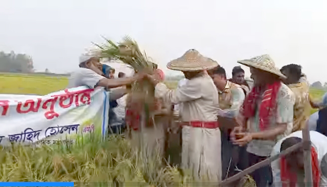 ঘোড়াঘাটে ধান কর্তন ও সজিনার চারা রোপণের উদ্বোধন করলেন সমাজকল্যাণ মন্ত্রী