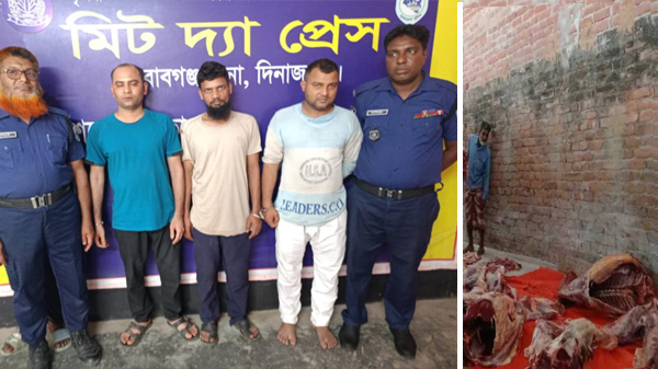 নবাবগঞ্জে ঘোড়া জবাইয়ের অভিযোগে ৩ জনের কারাদন্ড