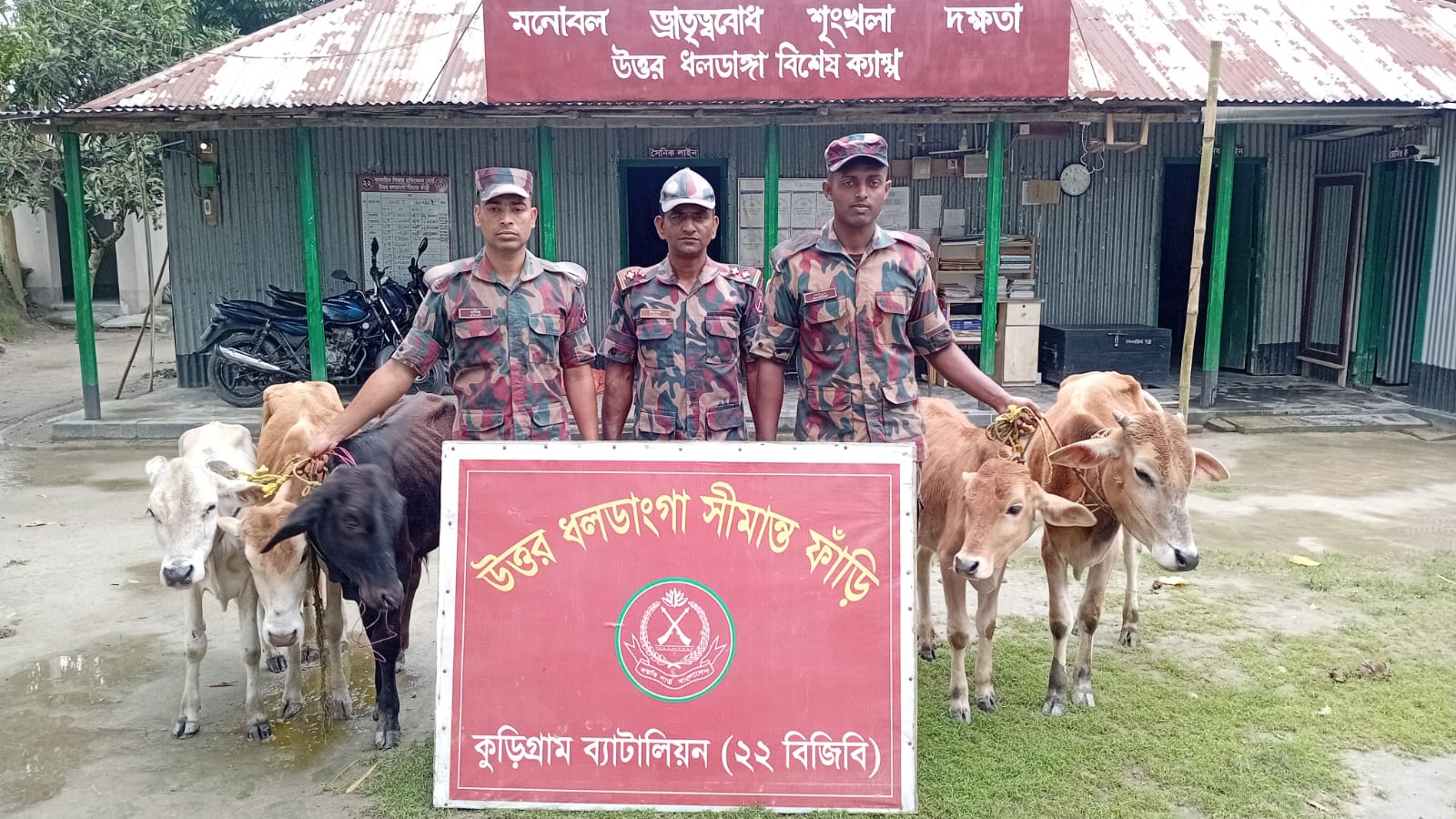 কুড়িগ্রাম সীমান্তে বিজিবির কড়া নজরদারি, এক মাসে ১ কোটি ৭১ লাখ টাকার ভারতীয় পণ্য ও মাদক জব্দ