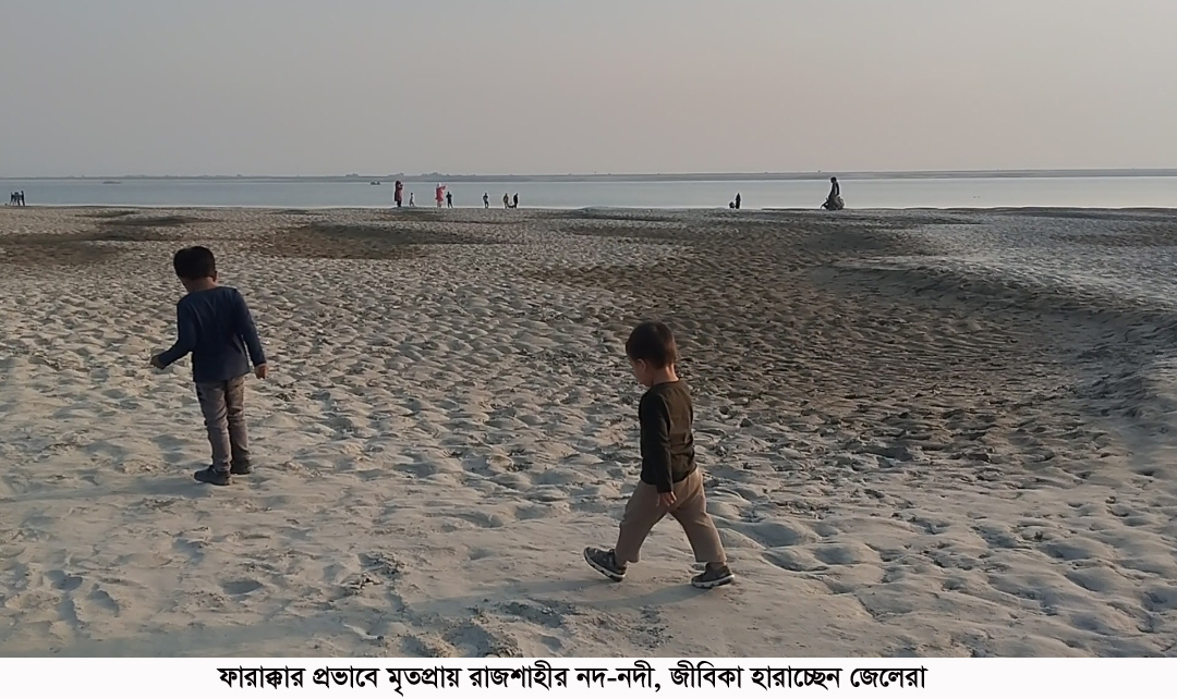 ফারাক্কার প্রভাবে মৃতপ্রায় রাজশাহীর নদ-নদী, জীবিকা হারাচ্ছেন জেলেরা