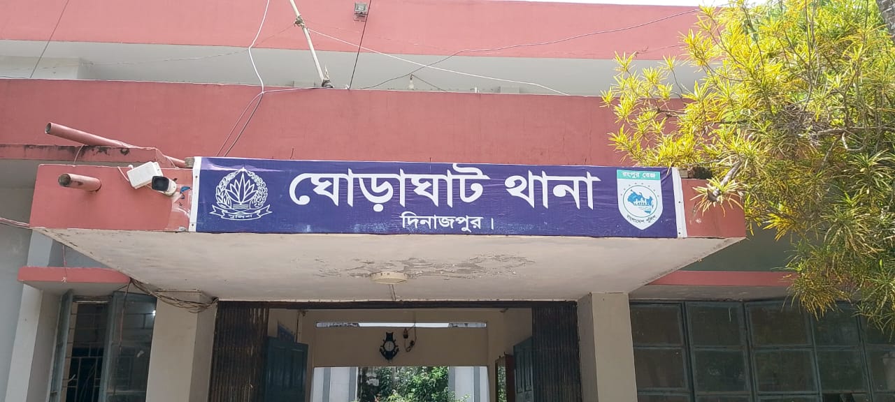 ঘোড়াঘাটে পুকুরে ডুবে শিশুর মৃত্যু