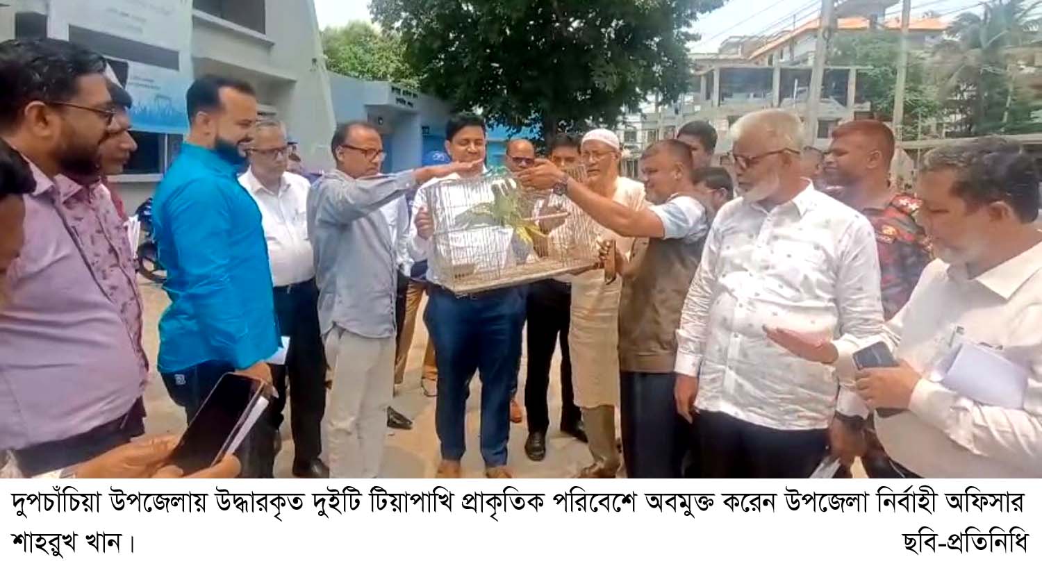 দুপচাঁচিয়ায় টিয়াপাখি প্রাকৃতিক পরিবেশে অবমুক্ত করলেন ইউএনও