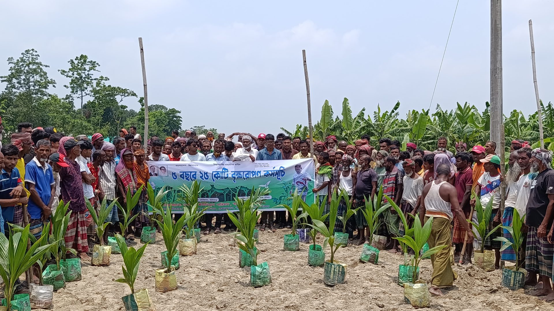 গাবতলীতে নশিপুরে বৃক্ষরোপণ কর্মসূচি পালিত