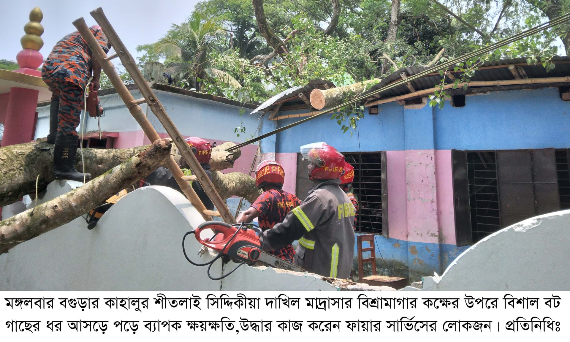 কাহালুর শীতলাই ছিদ্দিকীয়া দাখিল মাদ্রাসার উপরে আছড়ে পড়লো বিশাল গাছের ধর রক্ষা পেলেন ২ শিক্ষিকা