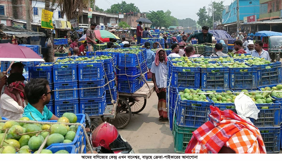 আমের বাণিজ্যের কেন্দ্র এখন বানেশ্বর, বাড়ছে ক্রেতা-পাইকারের আনাগোনা