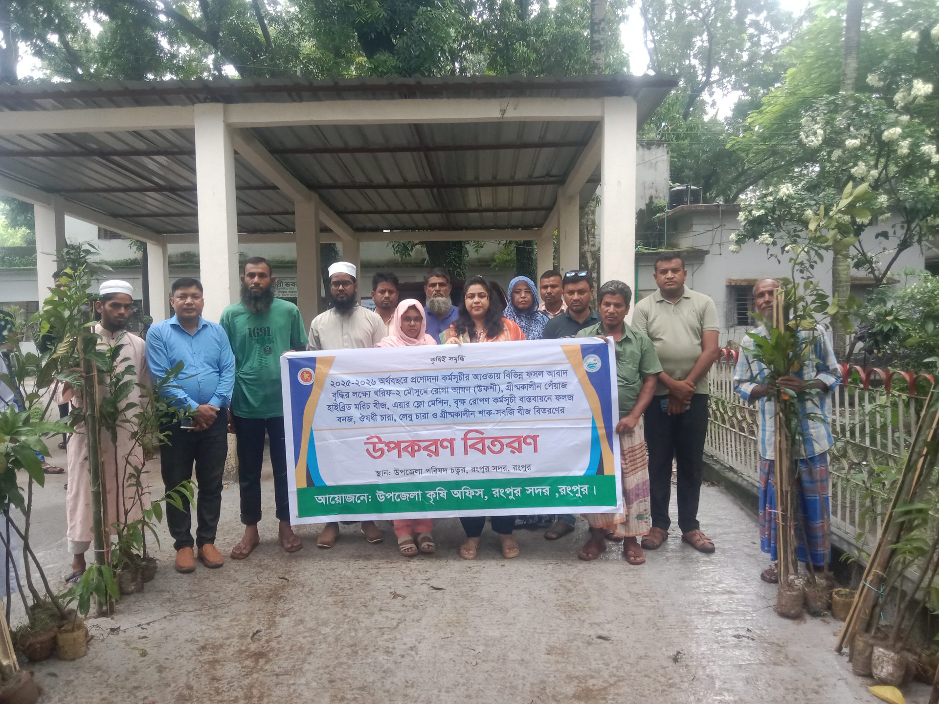 রংপুর সদর উপজেলায় কৃষি প্রণোদনার চারা বিতরণ