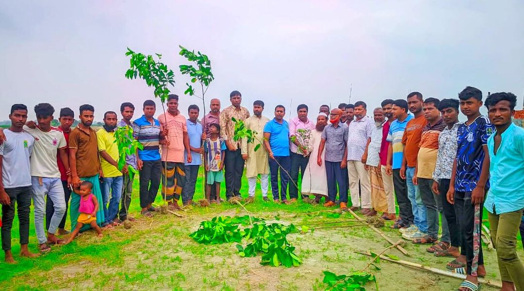 বালিয়াদিঘী ইউনিয়নে উদ্যোগে বৃক্ষ রোপন ও বিতরণ