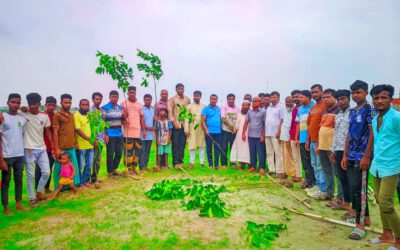 বালিয়াদিঘী ইউনিয়নে উদ্যোগে বৃক্ষ রোপন ও বিতরণ