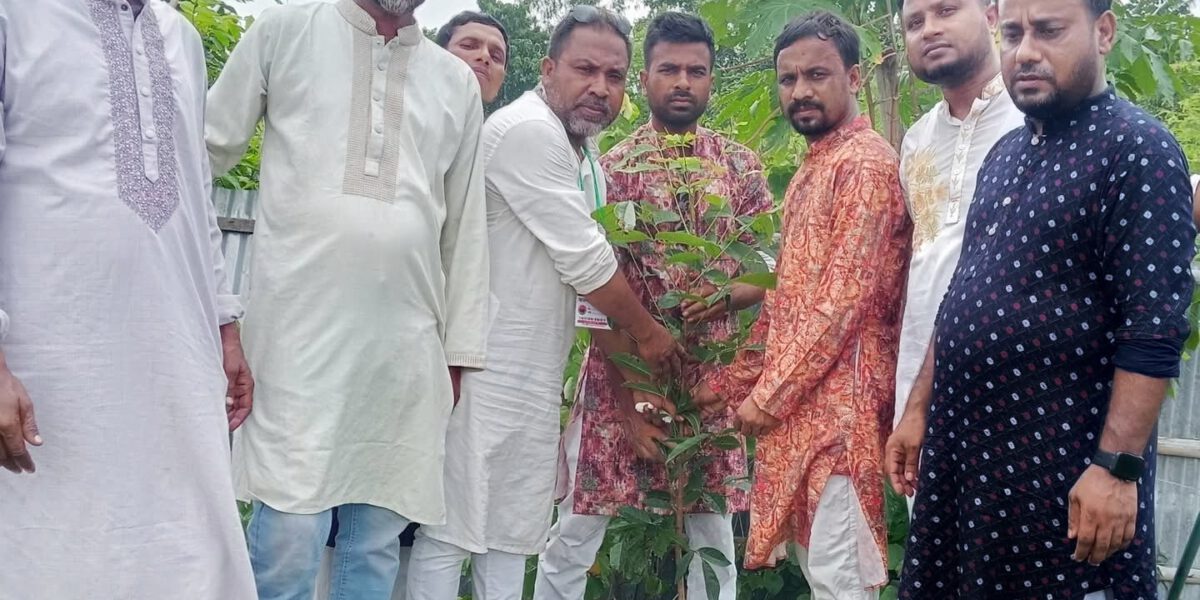 দাড়াইলে জিয়া অরফানেজ ট্রাস্ট ও সারিয়াকান্দি কালুরঘাটে বৃক্ষ রোপন করলেন নশিপুর ইউনিয়ন যুবদল নেতৃবৃন্দ