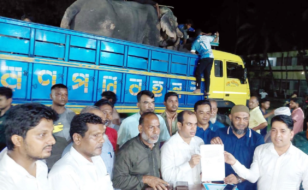 প্রধানমন্ত্রীর নির্দেশে বগুড়ার ‘বাদশা বাহাদুর’ গেল জাতীয় চিড়িয়াখানায়