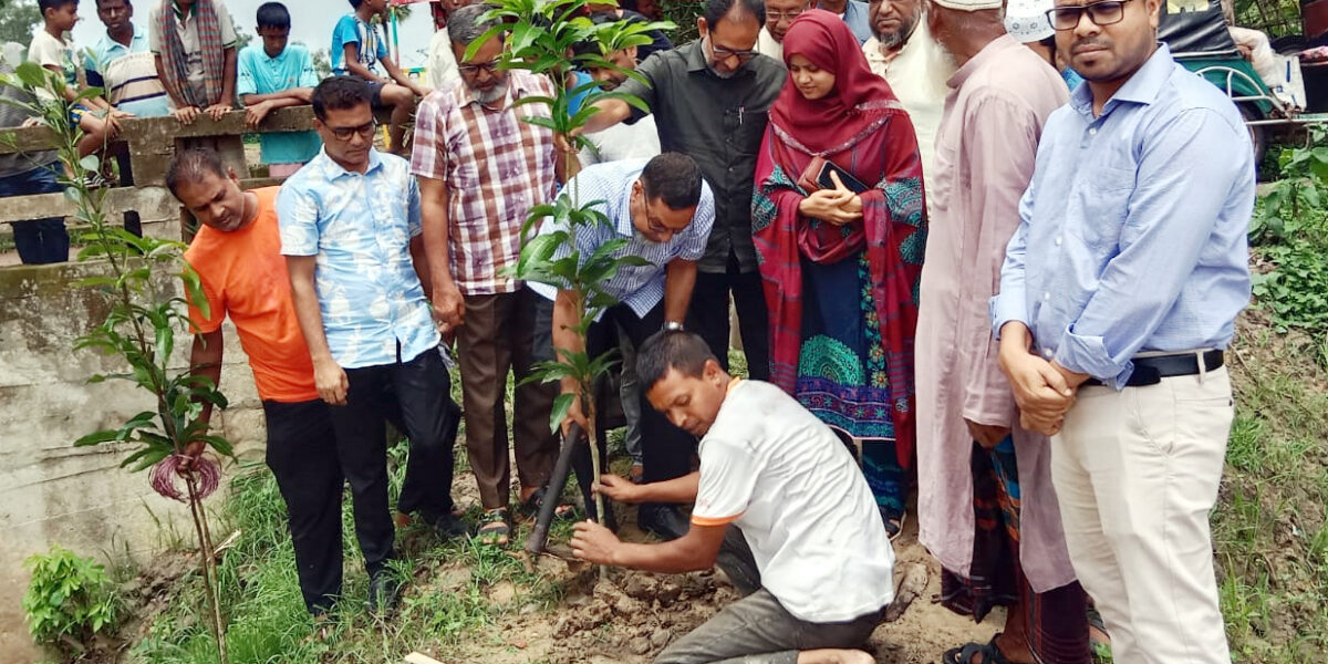আদমদীঘিতে বৃক্ষ রোপন কর্মসূচীর উদ্বোধন করলেন এমপি মহিত তালুকদার