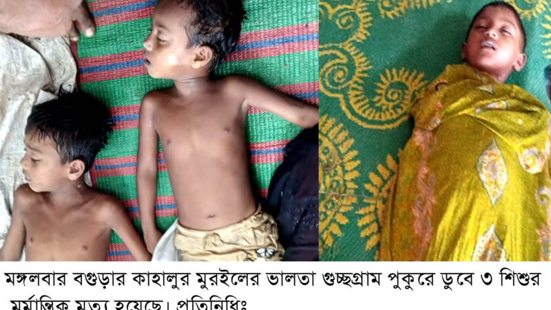কাহালুর মুরইলের ভালতা গুচ্ছ গ্রাম পুকুরে ডুবে ৩ শিশুর মর্মান্তিক মৃত্যু