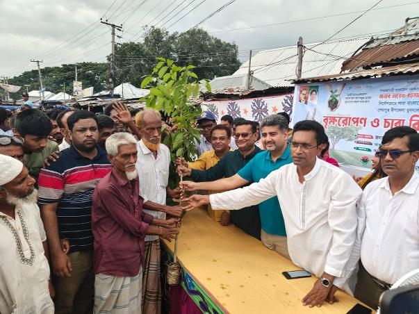 বগুড়ার শেরপুরের যুবদলের উদ্দ্যোগে গাছের চারা বিতরণ