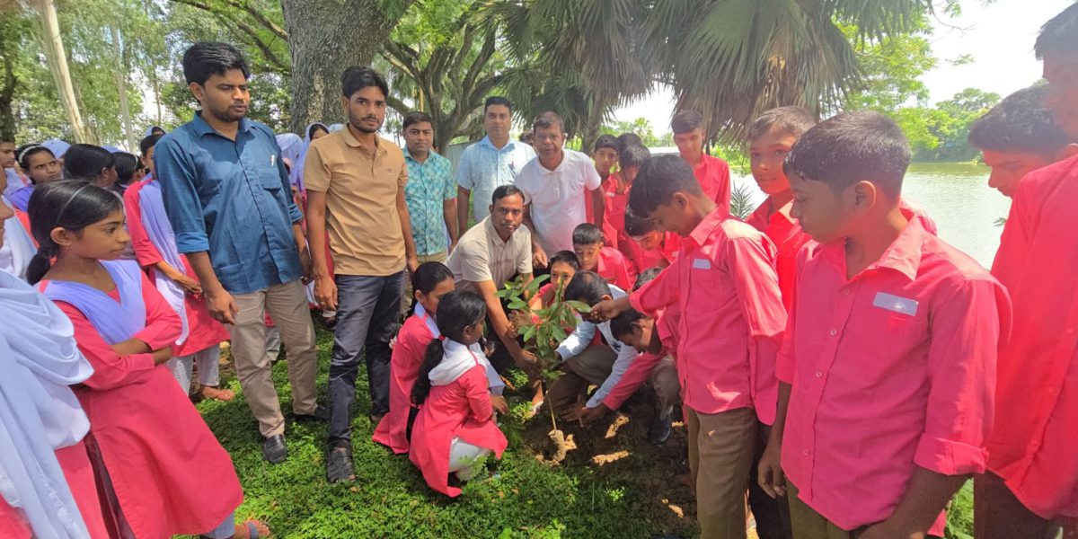 সিংড়ায় ক্ষিদ্রবড়িয়া স্কুলে বৃক্ষরোপণ কর্মসূচি অনুষ্ঠিত