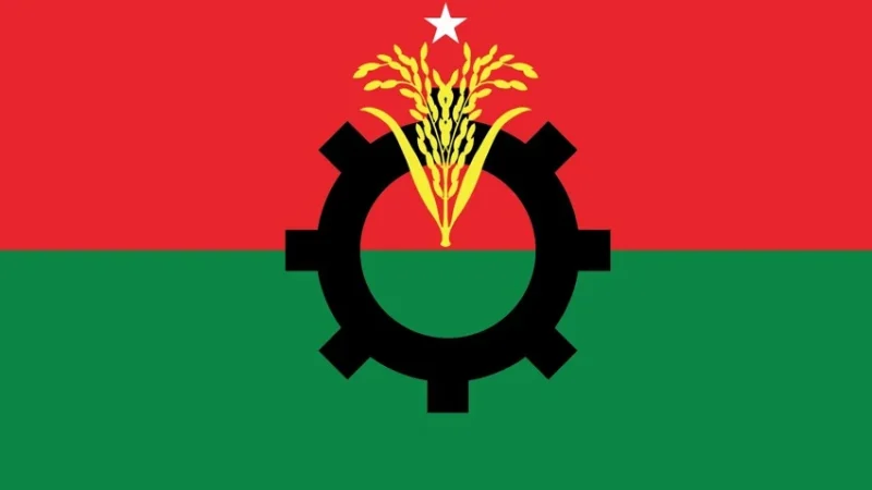 রাষ্ট্রপতি নির্বাচনের জন্য মনোনয়নপত্র সংগ্রহ করেছে বিএনপি
