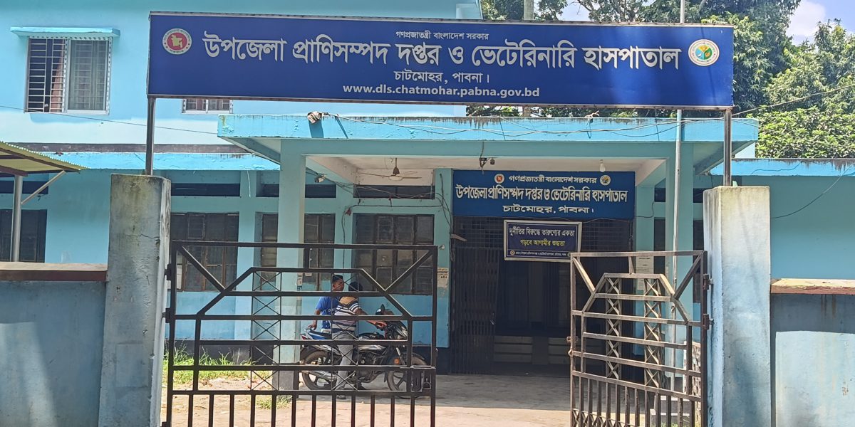 চাটমোহরে ধারালো অস্ত্রাঘাতে কুকুর হত্যার অভিযোগ