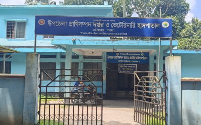 চাটমোহরে ধারালো অস্ত্রাঘাতে কুকুর হত্যার অভিযোগ