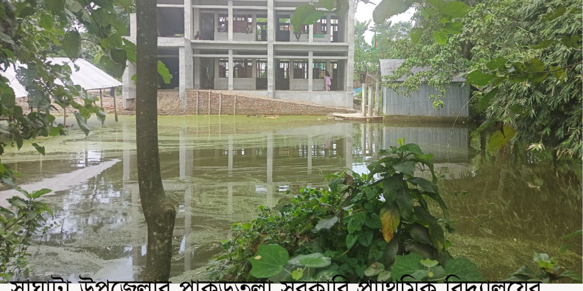 সাঘাটায় প্রাথমিক বিদ্যালয় ঘেষে পুকুর ঝুঁকিতে শিশু শিক্ষার্থীরা