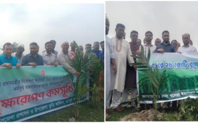 রংপুর সদরে ৫ বছরে ২৫ কোটি বৃক্ষরোপণ কর্মসূচির অংশ হিসেবে তিন ইউনিয়নে বৃক্ষরোপণ