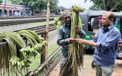 সান্তাহারে সড়কে প্রাণ গেল শাপলা বিক্রেতা শহিদুলের