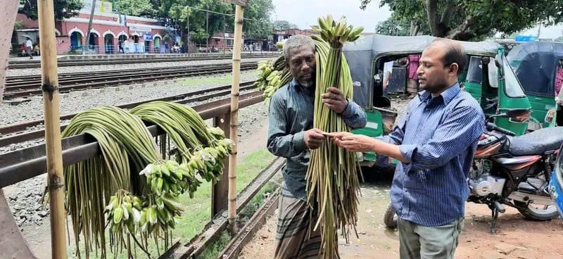 সান্তাহারে সড়কে প্রাণ গেল শাপলা বিক্রেতা শহিদুলের