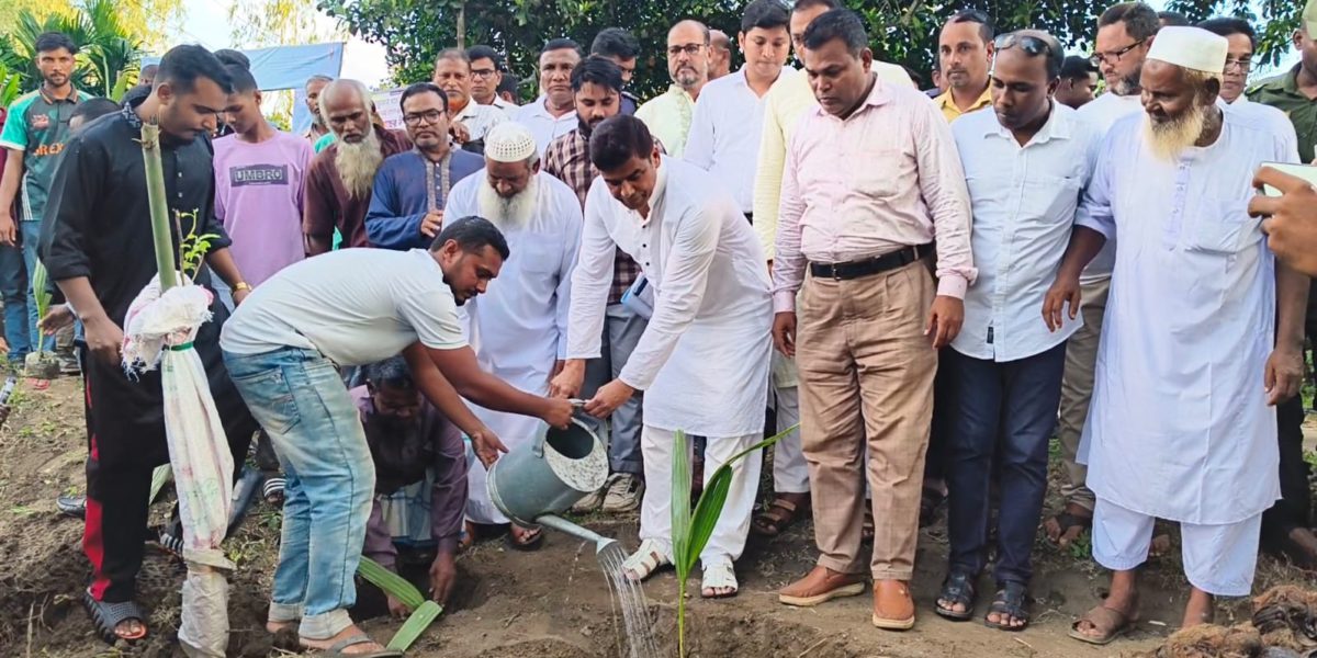 বজ্রপাত রোধ ও সবুজায়নের লক্ষ্যে দেবীগঞ্জে তাল বেলালের ২ হাজার তালবীজ রোপণ