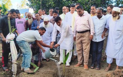 বজ্রপাত রোধ ও সবুজায়নের লক্ষ্যে দেবীগঞ্জে তাল বেলালের ২ হাজার তালবীজ রোপণ