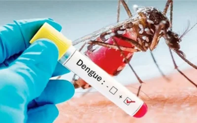 ডেঙ্গুতে আরো ৬ জনের মৃত্যু, হাসপাতালে ১৬৫৫